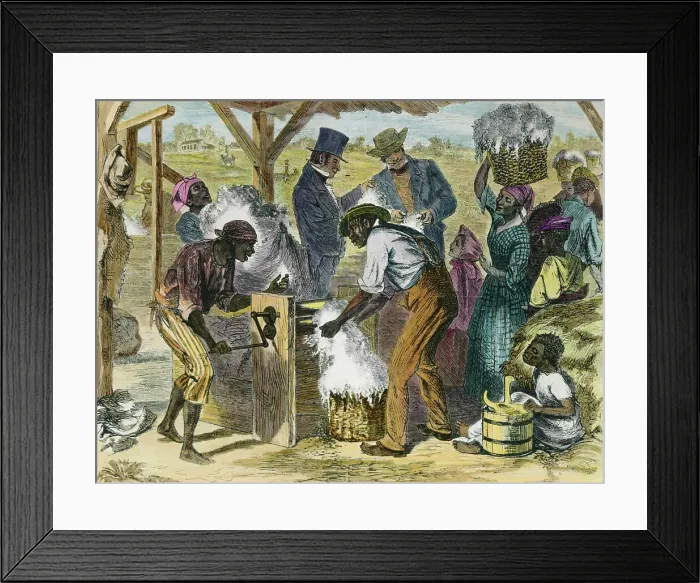 Framed Print : Slaves Using First Cotton Gin Framed Print : Slaves Using First Cotton Gin