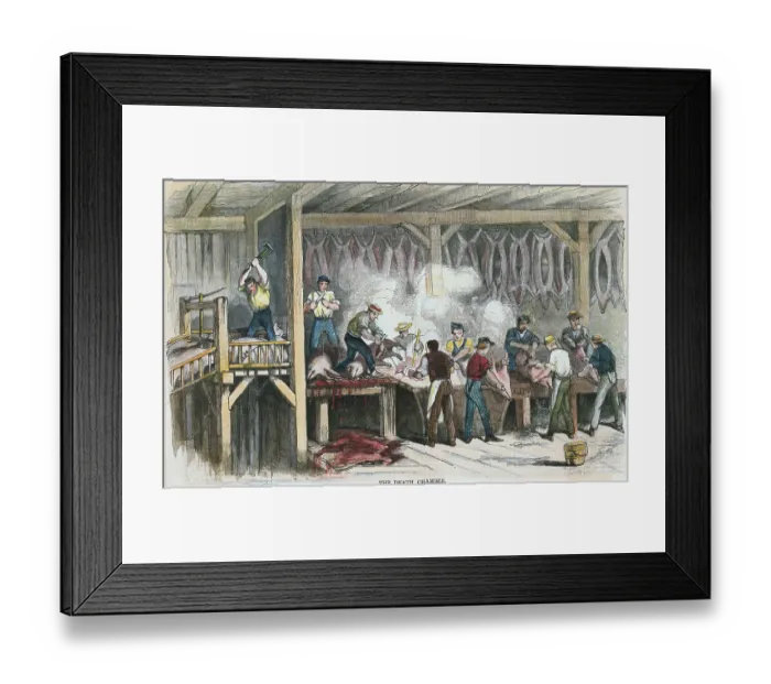 Framed Print : Workers Slaughtering Pigs