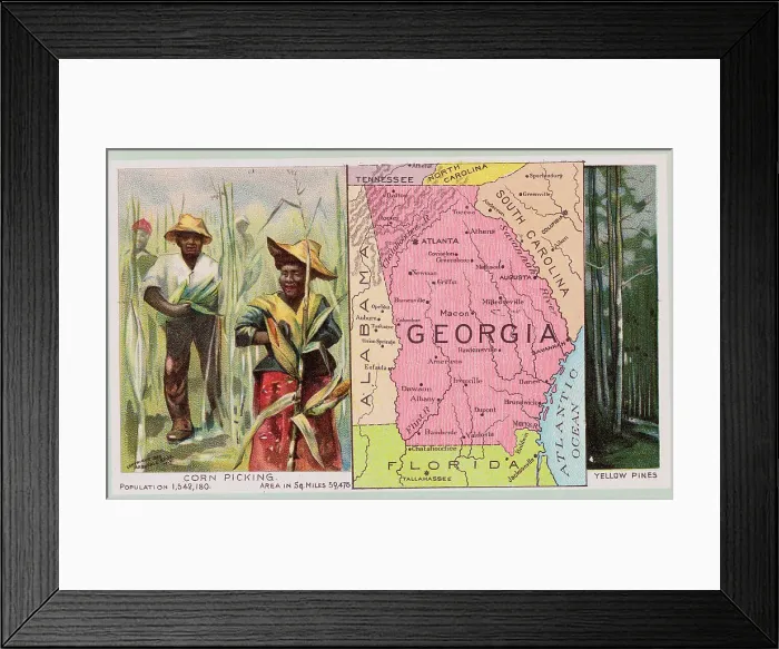 Framed Print : African Americans Tending Corn Field During Georgia Expansion Era Framed Print : African Americans Tending Corn Field During Georgia Expansion Era