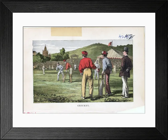 Framed Print : Color Illust / Cricket Match Framed Print : Color Illust / Cricket Match