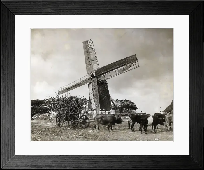 Framed Print : Ideal Windmill Rural Scene Illus Framed Print : Ideal Windmill Rural Scene Illus