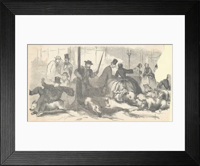 Framed Print : Print Depicting Pork Lively - A Sketch from Nature at the Corner of Broadway and Fourth Street Framed Print : Print Depicting Pork Lively - A Sketch from Nature at the Corner of Broadway and Fourth Street