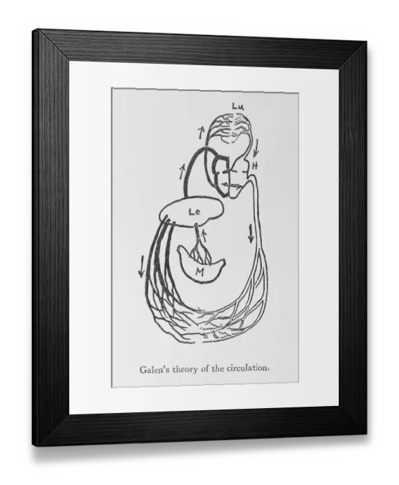 Framed Print : Galen's Theory of the Circulation Drawing Framed Print : Galen's Theory of the Circulation Drawing