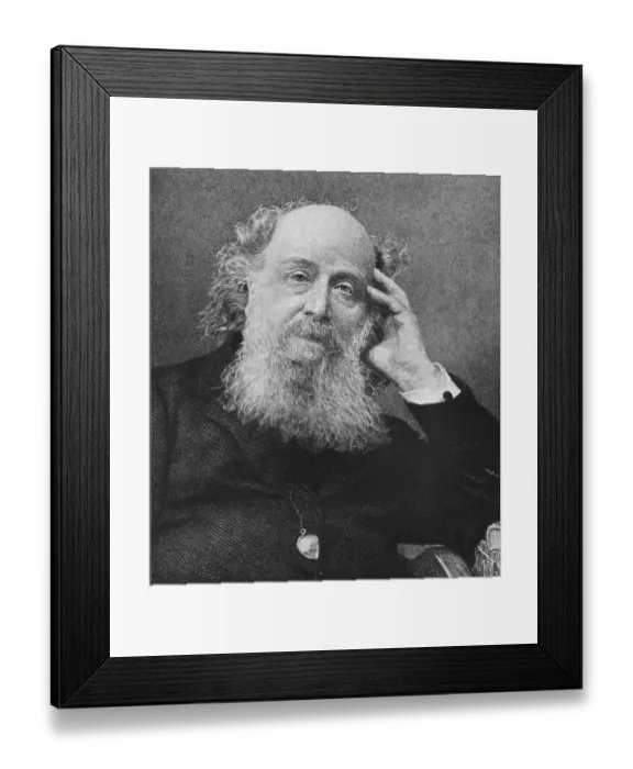 Framed Print : English Mathematician James Joseph Sylvester Framed Print : English Mathematician James Joseph Sylvester