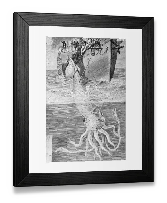 Framed Print : Illustration of the Crew of the Alecton Attempting to Catch a Giant Squid Framed Print : Illustration of the Crew of the Alecton Attempting to Catch a Giant Squid