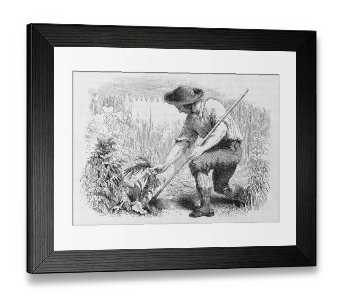 Framed Print : Illustration of Young Benjamin Franklin in a Garden Framed Print : Illustration of Young Benjamin Franklin in a Garden