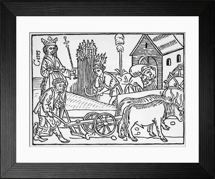 Framed Print : Medieval Agriculture Farm scene Framed Print : Medieval Agriculture Farm scene