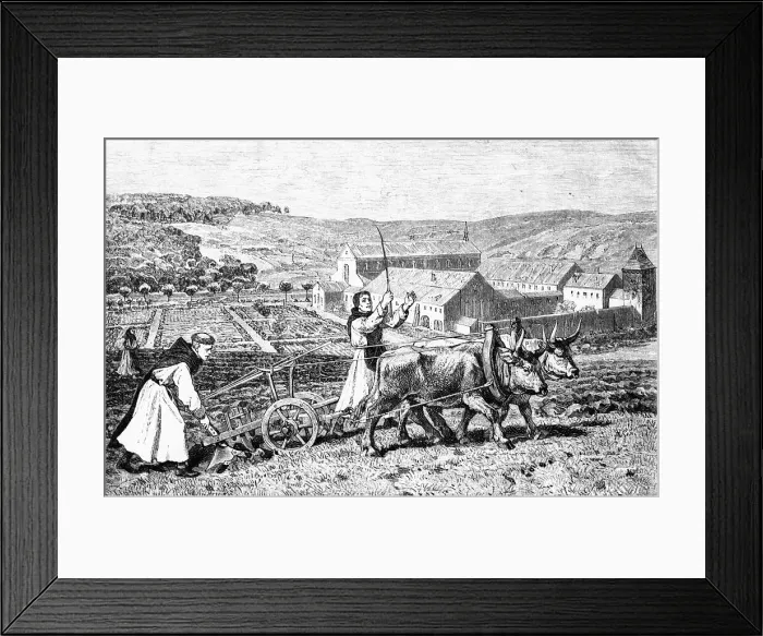 Framed Print : Illustration of Monks Plowing a Field Framed Print : Illustration of Monks Plowing a Field