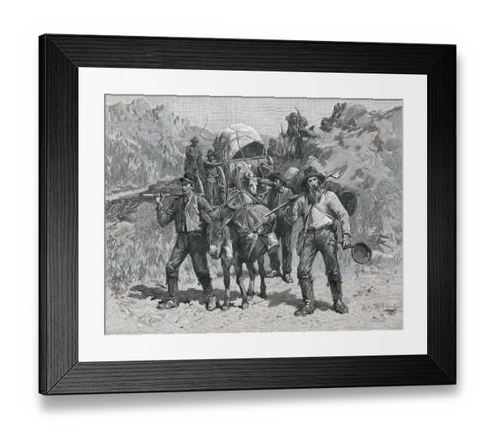 Framed Print : Illustration of California Prospectors by Allen Carter Redwood Framed Print : Illustration of California Prospectors by Allen Carter Redwood