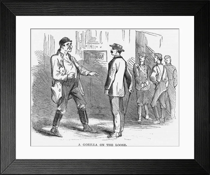 Framed Print : A Gorilla on the Loose Newspaper Illustration