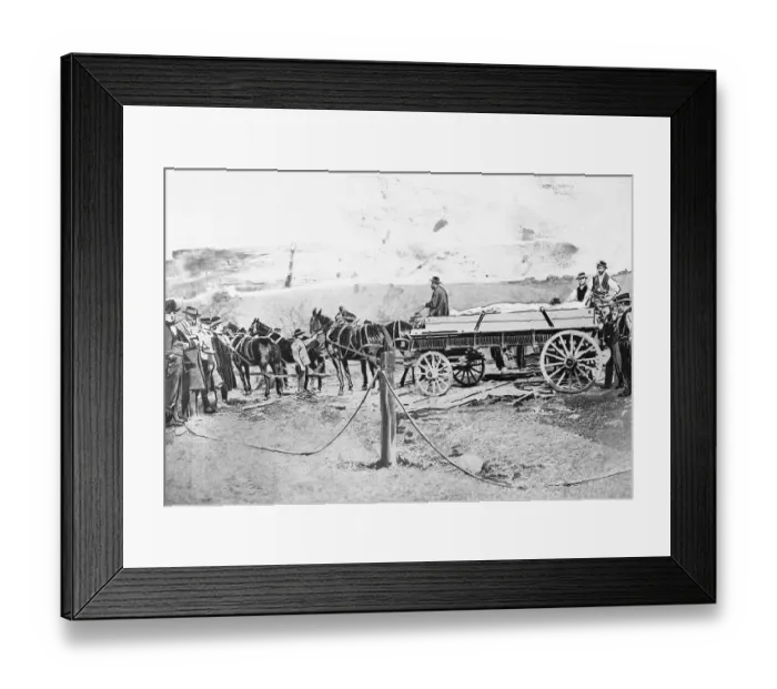 Framed Print : Illustration of Cart Moving the Cardiff Giant Framed Print : Illustration of Cart Moving the Cardiff Giant