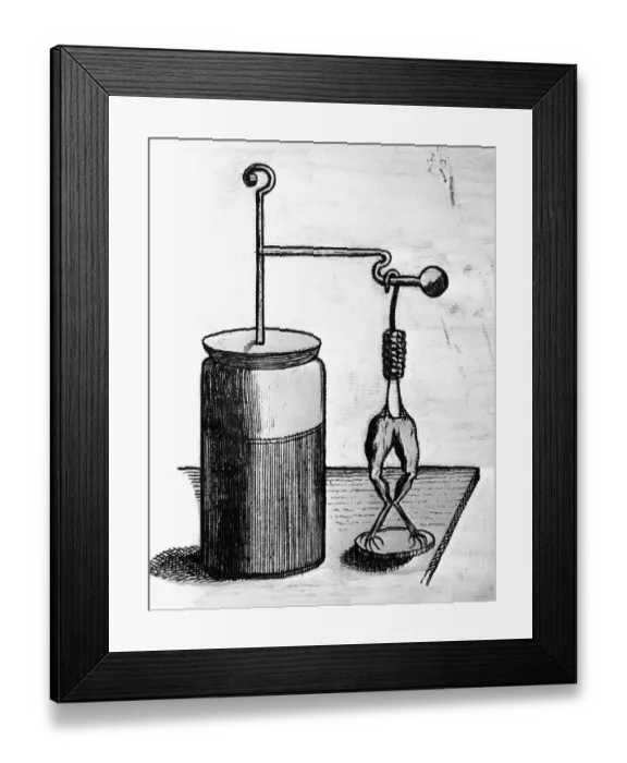 Framed Print : Frog Legs Connected To Electrical Feed Framed Print : Frog Legs Connected To Electrical Feed