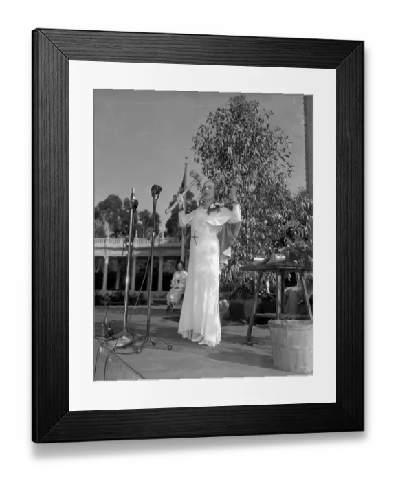 Framed Print : The California Pacific International Exposition Framed Print : The California Pacific International Exposition