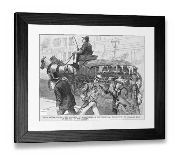 Framed Print : Bogus Butter-Making Illustration Framed Print : Bogus Butter-Making Illustration
