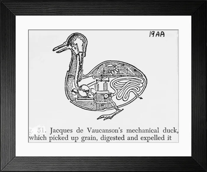 Framed Print : Mechanical Duck Framed Print : Mechanical Duck