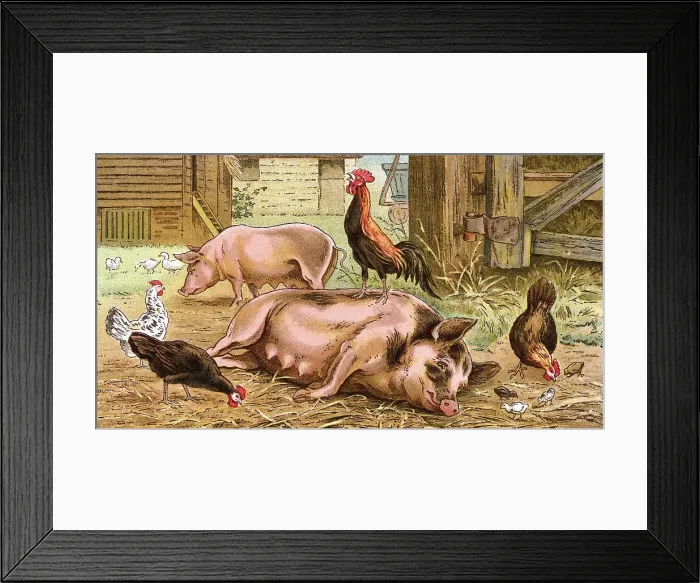 Framed Print : British Victorian Print of Familiarity Breeds Contempt Framed Print : British Victorian Print of Familiarity Breeds Contempt
