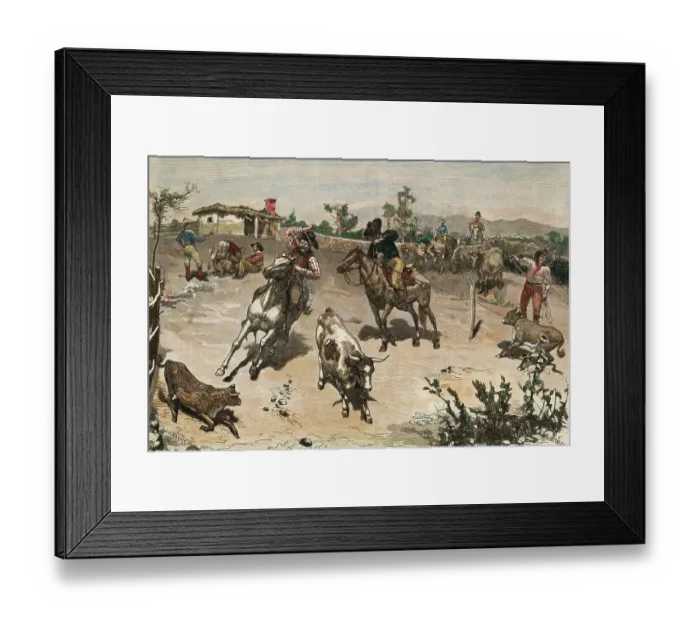 Framed Print : Cowboys Roping Cattle Framed Print : Cowboys Roping Cattle