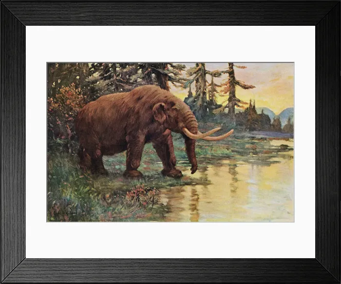 Framed Print : Illustration of Mastodon Walking Toward Lake Framed Print : Illustration of Mastodon Walking Toward Lake