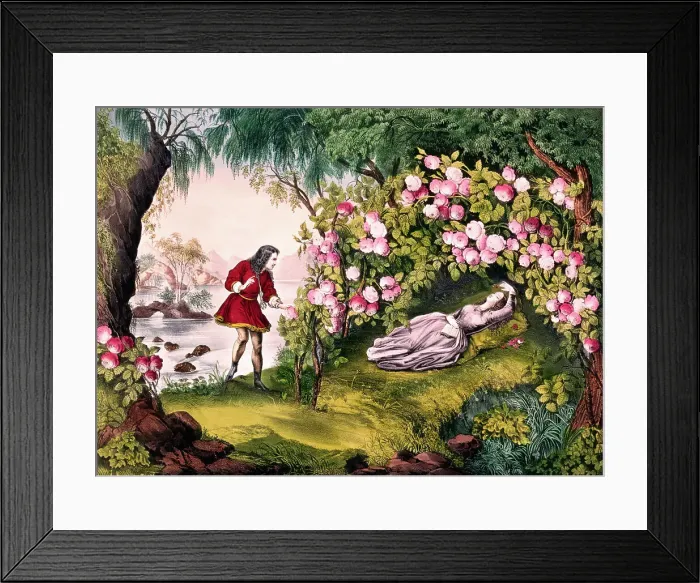 Framed Print : Print Depicting the Prince Discovering Sleeping Beauty Framed Print : Print Depicting the Prince Discovering Sleeping Beauty