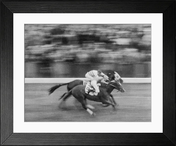 Framed Print : Jockeys Riding Hard for a Win Framed Print : Jockeys Riding Hard for a Win