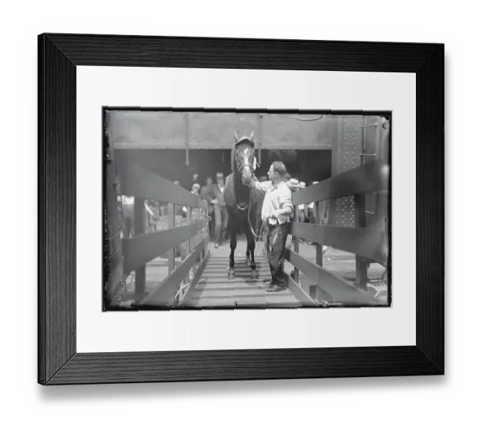 Framed Print : Racehorse Reigh Count Returning Home Framed Print : Racehorse Reigh Count Returning Home