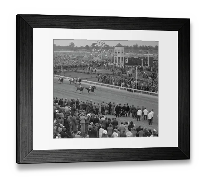 Framed Print : A Group of Horses Running in A Race Framed Print : A Group of Horses Running in A Race