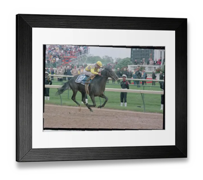 Framed Print : Sunday Silence Winning Kentucky Derby Framed Print : Sunday Silence Winning Kentucky Derby