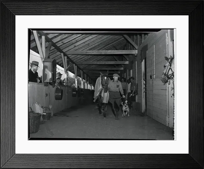 Framed Print : Trainer Leads Whirlaway to Stables Framed Print : Trainer Leads Whirlaway to Stables