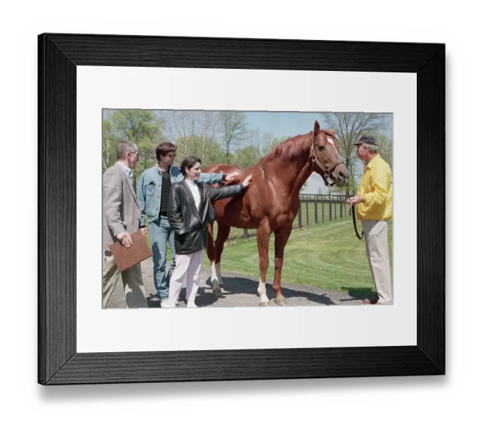 Framed Print : Secretariat, Race Horse, 1989 Framed Print : Secretariat, Race Horse, 1989