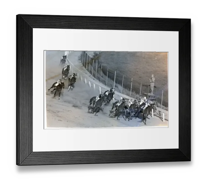Framed Print : Winners Of The Kentuck Derby At Finish Framed Print : Winners Of The Kentuck Derby At Finish