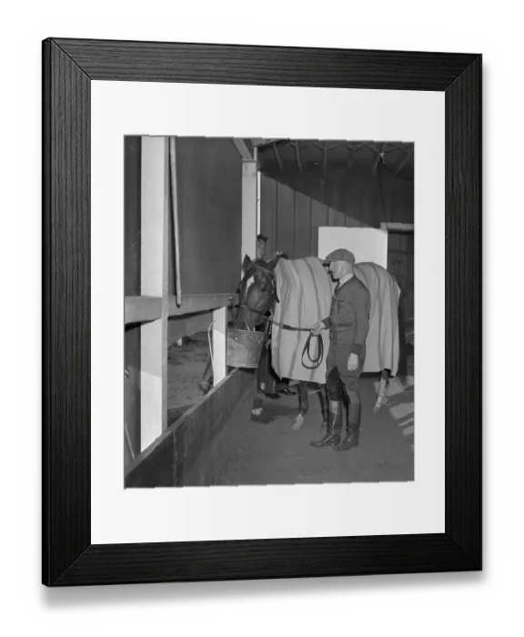 Framed Print : Whirlaway Drinking in Stable Framed Print : Whirlaway Drinking in Stable