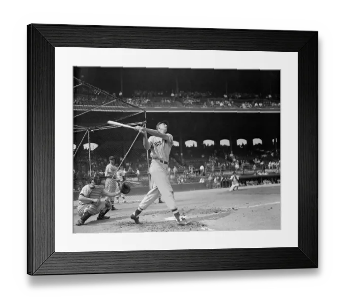 Framed Print : Ted Williams Swinging the Bat in Preparation for Upcoming Game Framed Print : Ted Williams Swinging the Bat in Preparation for Upcoming Game