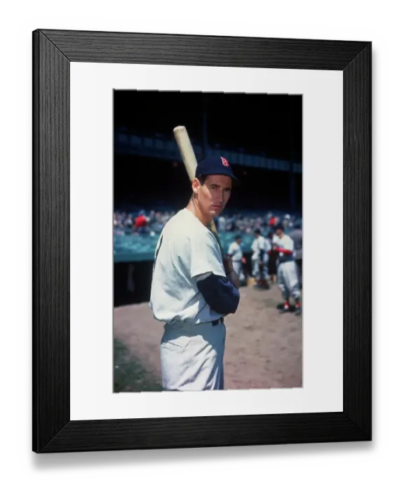Framed Print : Baseball Legend Ted Williams Posing with Baseball Bat Framed Print : Baseball Legend Ted Williams Posing with Baseball Bat