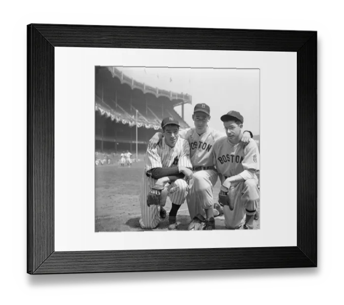 Framed Print : DiMaggio Brothers Posing with Ted Williams in Baseball Uniforms Framed Print : DiMaggio Brothers Posing with Ted Williams in Baseball Uniforms