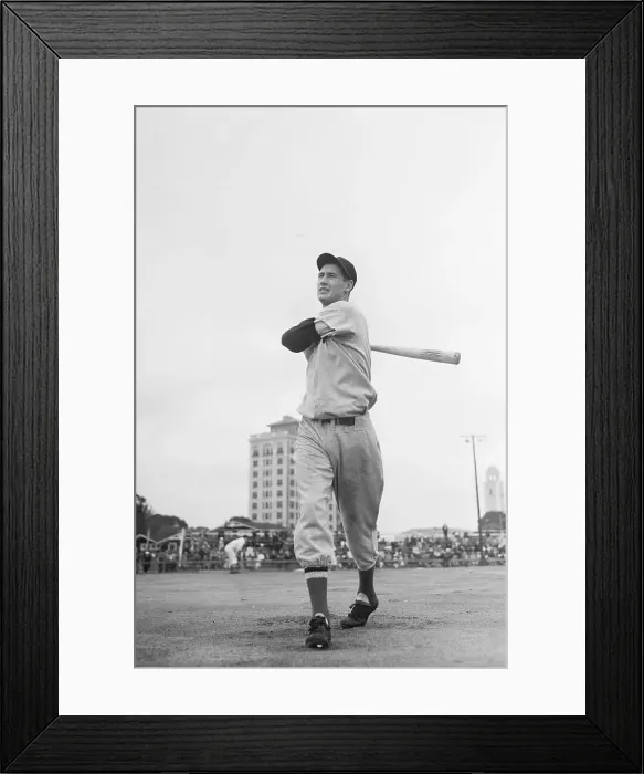 Framed Print : Ted Williams Swinging Bat at Spring Training Framed Print : Ted Williams Swinging Bat at Spring Training