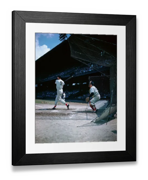 Framed Print : Back View of Ted Williams Batting Framed Print : Back View of Ted Williams Batting