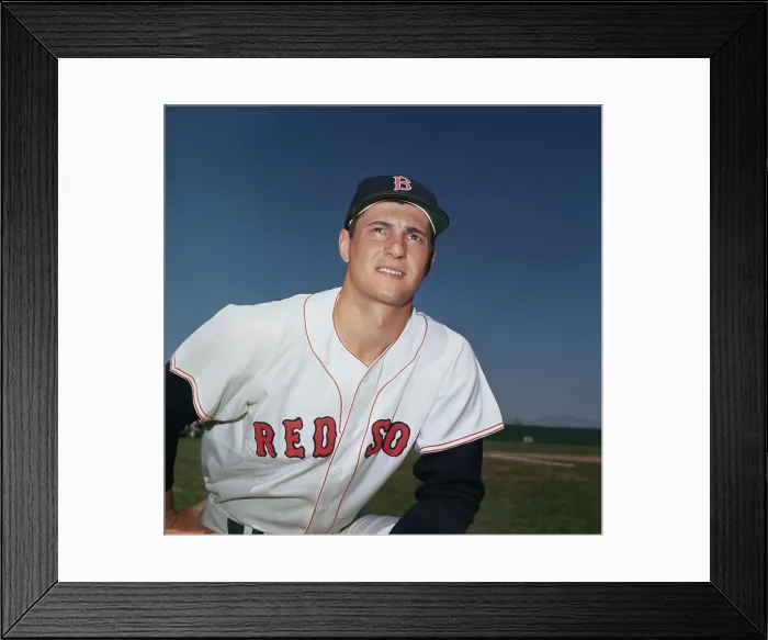 Framed Print : Portrait of Carl Yastrzemski Framed Print : Portrait of Carl Yastrzemski