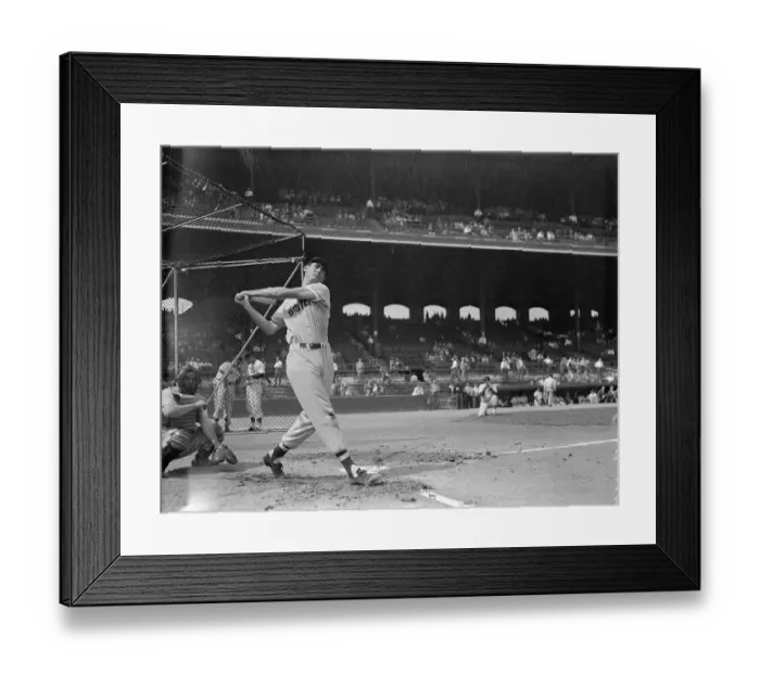 Framed Print : Ted Williams Swinging the Bat in Preparation for Upcoming Game Framed Print : Ted Williams Swinging the Bat in Preparation for Upcoming Game
