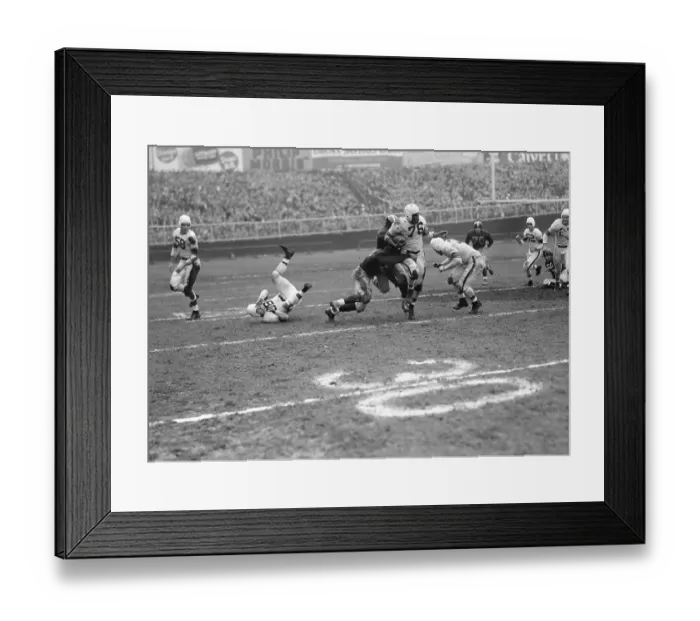 Framed Print : Marion Motley Tackled Framed Print : Marion Motley Tackled