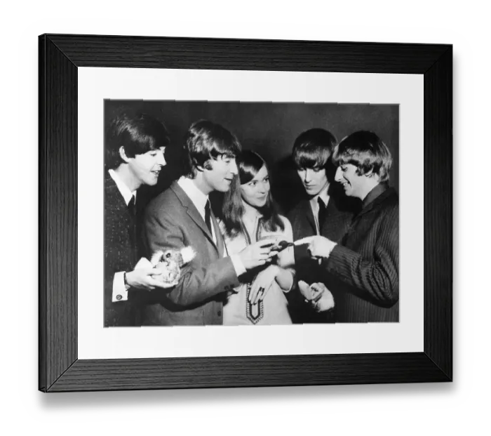 Framed Print : The Beatles In Australia Framed Print : The Beatles In Australia