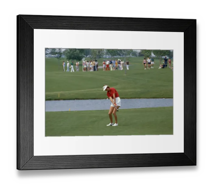 Framed Print : Beth Daniel