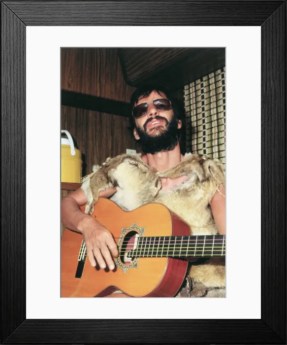 Framed Print : Ringo Starr in Caveman Costume with Guitar Framed Print : Ringo Starr in Caveman Costume with Guitar