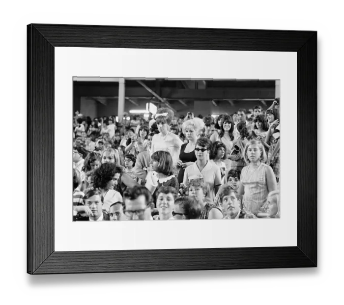 Framed Print : Fans at Concert Rise for National Anthem Framed Print : Fans at Concert Rise for National Anthem