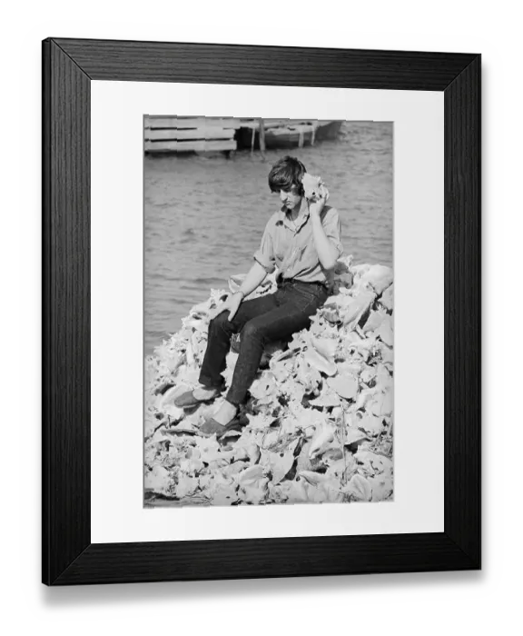 Framed Print : Ringo Starr Listening to a Conch Shell