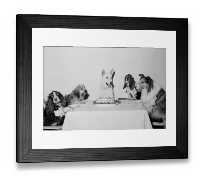 Framed Print : Movie Dog and Friends Celebrating Birthday Framed Print : Movie Dog and Friends Celebrating Birthday
