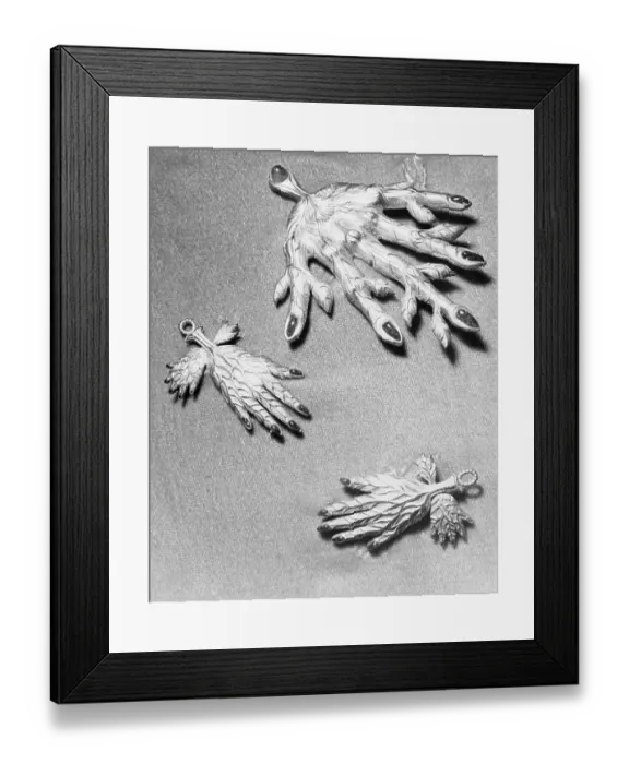 Framed Print : Pieces of Jewelry Designed by Salvador Dali Framed Print : Pieces of Jewelry Designed by Salvador Dali