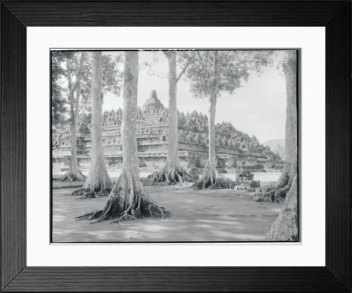 Framed Print : Buddhist Temple Complex Framed Print : Buddhist Temple Complex