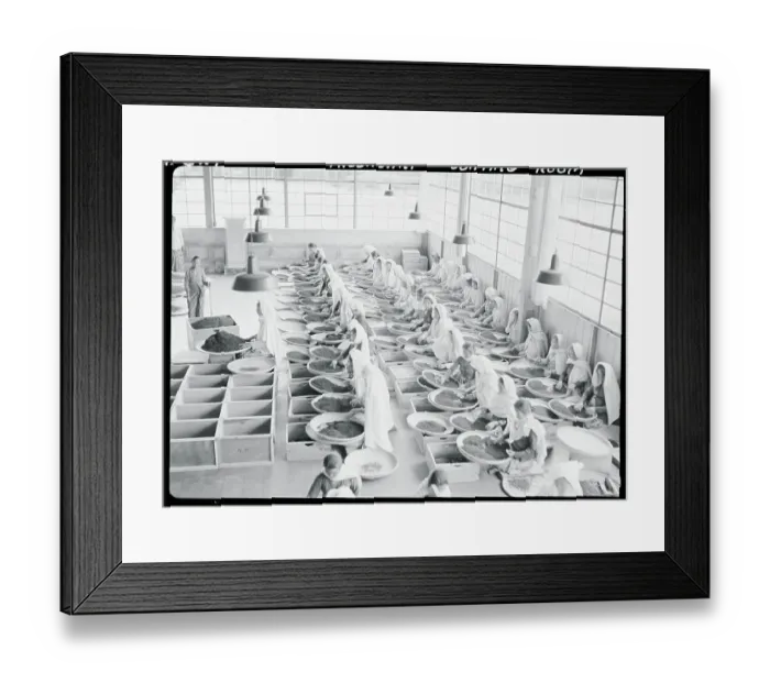 Framed Print : Sorting Room at Tea Factory Framed Print : Sorting Room at Tea Factory