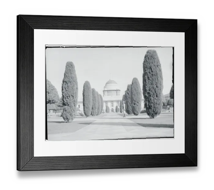 Framed Print : Exquisite House Behind Shrubbery Framed Print : Exquisite House Behind Shrubbery