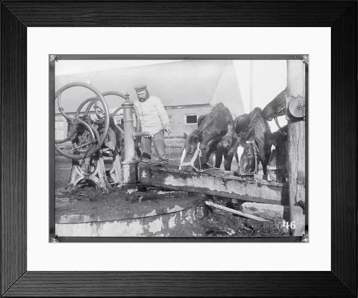 Framed Print : German Soldier Getting Water for Horses Framed Print : German Soldier Getting Water for Horses